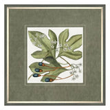 Ghedi Botanical Beauty Framed Art — SantoLusso®