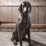 Ghedi Digby Dog — SantoLusso®