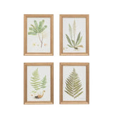 Ghedi Assorted Ferns Framed Art Set of 4 — SantoLusso®