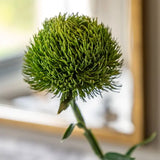 Ghedi Faux Stem Statement Bloom Green 12pk — SantoLusso®