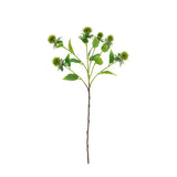 Ghedi Faux Stem Thistle Green 12pk — SantoLusso®