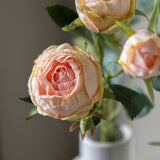 Ghedi Faux Stem Vintage Rose White 6pk — SantoLusso®