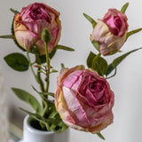 Ghedi Faux Stem Vintage Rose Pink 6pk — SantoLusso®