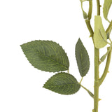 Ghedi Faux Stem Vintage Rose Pink 6pk — SantoLusso®