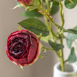 Ghedi Faux Stem Vintage Rose Claret 6pk — SantoLusso®