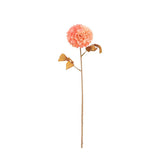 Ghedi Faux Stem Dahlia Apricot 6pk — SantoLusso®