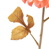 Ghedi Faux Stem Dahlia Apricot 6pk — SantoLusso®