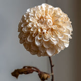 Ghedi Faux Stem Dahlia Ivory 6pk — SantoLusso®