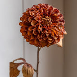 Ghedi Faux Stem Dahlia Burnt Orange 6pk — SantoLusso®