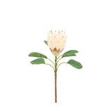 Ghedi Faux Stem Statement Tropical Ivory 12pk — SantoLusso®