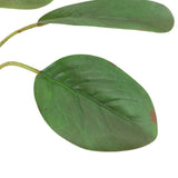 Ghedi Faux Stem Statement Tropical Ivory 12pk — SantoLusso®