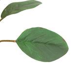 Ghedi Faux Stem Statement Tropical Apricot 12pk — SantoLusso®