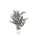 Ghedi Faux Eucalyptus in Ceramic Pot Ivory — SantoLusso®