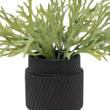 Ghedi Faux Playycerium in Ceramic Pot — SantoLusso®
