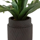 Ghedi Faux Playycerium Multi Colour in Ceramic Pot — SantoLusso®