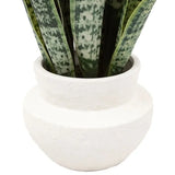 Ghedi Faux Snake Plant in Ceramic Pot — SantoLusso®