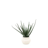 Ghedi Faux Aloe Vera in Ceramic Pot — SantoLusso®
