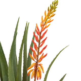 Ghedi Aloe Potted Plant with Orange Flower — SantoLusso®