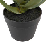 Ghedi Aloe Potted Plant with Orange Flower — SantoLusso®