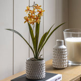Ghedi Orchid Orange in White Ceramic Dot Pot — SantoLusso®