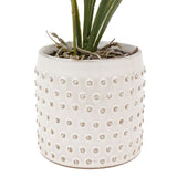 Ghedi Orchid Orange in White Ceramic Dot Pot — SantoLusso®