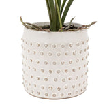 Ghedi Orchid Pink in White Ceramic Dot Pot — SantoLusso®