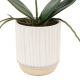 Ghedi Orchid Cream in Ribbed White Ceramic Pot Small — SantoLusso®