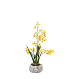 Ghedi Orchid Yellow in Low Ceramic Pot — SantoLusso®