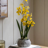 Ghedi Orchid Yellow in Low Ceramic Pot — SantoLusso®