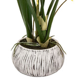Ghedi Orchid Yellow in Low Ceramic Pot — SantoLusso®