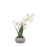 Ghedi Orchid White in Low Ceramic Pot — SantoLusso®