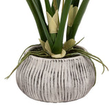 Ghedi Orchid White in Low Ceramic Pot — SantoLusso®