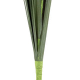 Ghedi Faux Grass with Feather Seed 12pk — SantoLusso®