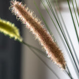 Ghedi Faux Grass with Seed Heads Natural 12pk — SantoLusso®