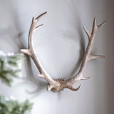 Ghedi Bjorn Antler Wall Art White — SantoLusso®