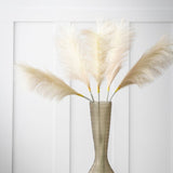 Ghedi Goma Soft Feather Stem Blush (5pk) — SantoLusso®