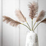 Ghedi Goma Soft Feather Stem Brown (5pk) — SantoLusso®