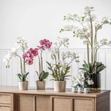 Ghedi Orchid Pink with Ceramic Pot — SantoLusso®