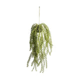 Ghedi Hanging Cactus Horsetail — SantoLusso®