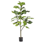Ghedi Fiddle Tree with 65 Leaves — SantoLusso®