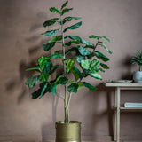 Ghedi Fiddle Tree with 65 Leaves — SantoLusso®