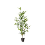 Ghedi Bamboo with 330 Leaves — SantoLusso®