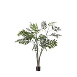 Ghedi Areca Palm Tree Small — SantoLusso®