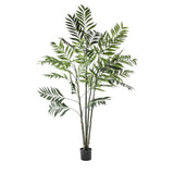 Ghedi Areca Palm Tree Large — SantoLusso®