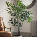 Ghedi Areca Palm Tree Large — SantoLusso®