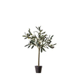 Ghedi Olive Tree Small — SantoLusso®