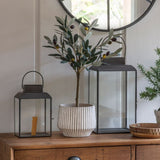 Ghedi Olive Tree Small — SantoLusso®