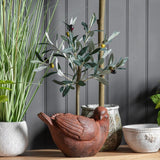 Ghedi Olive Tree Small — SantoLusso®