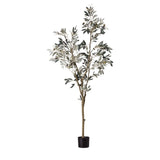 Ghedi Olive Tree Large — SantoLusso®