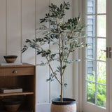 Ghedi Olive Tree Large — SantoLusso®